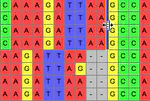 Basic operations with biological sequences.