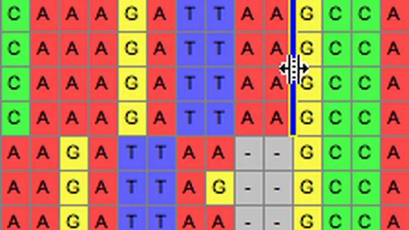 Basic operations with biological sequences.